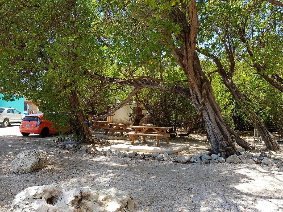 Appartamento Fabulous Ocean View On 5 Min Walking Distance From Cur Northsea Jazz Festival Willemstad